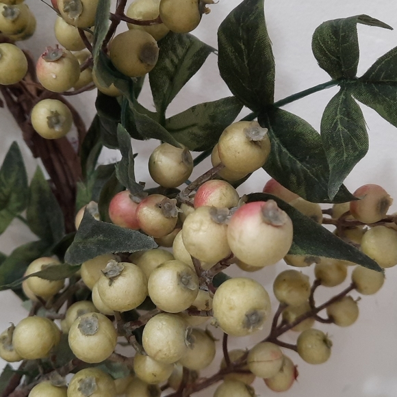 Wreath Rose Hip Clusters Leaves Spring Summer Everyday Home Door Wall Decor - Picture 2 of 3